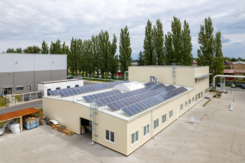 CZ001160 DREVO TRUST HRADEC PRODEJNA