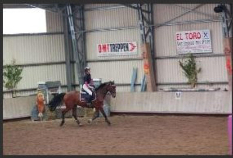 2465 REITVEREIN BILLIGHEIM