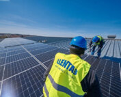 fotovoltaic panels